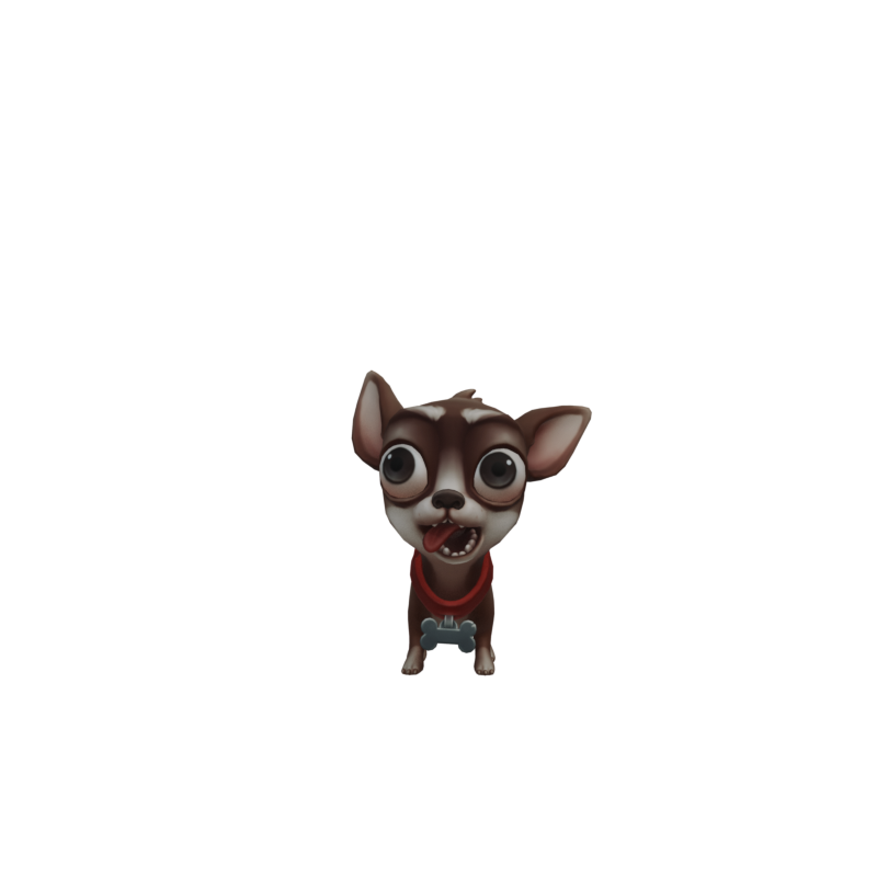 Pepper the Chihuahua
